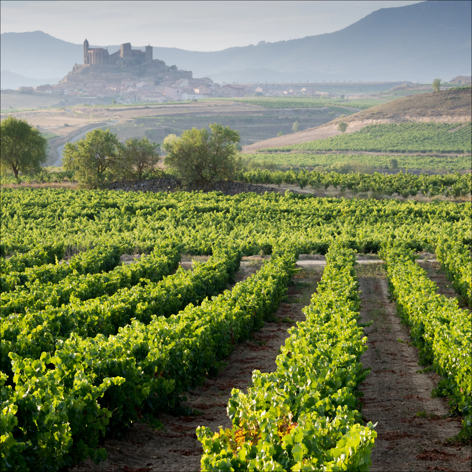 Spain