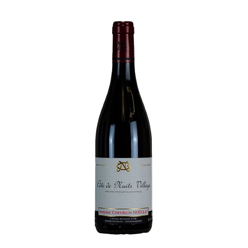Nuits St. Georges Les Damodes 2019