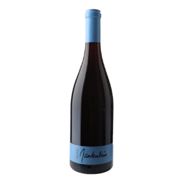 Pinot Noir 2022