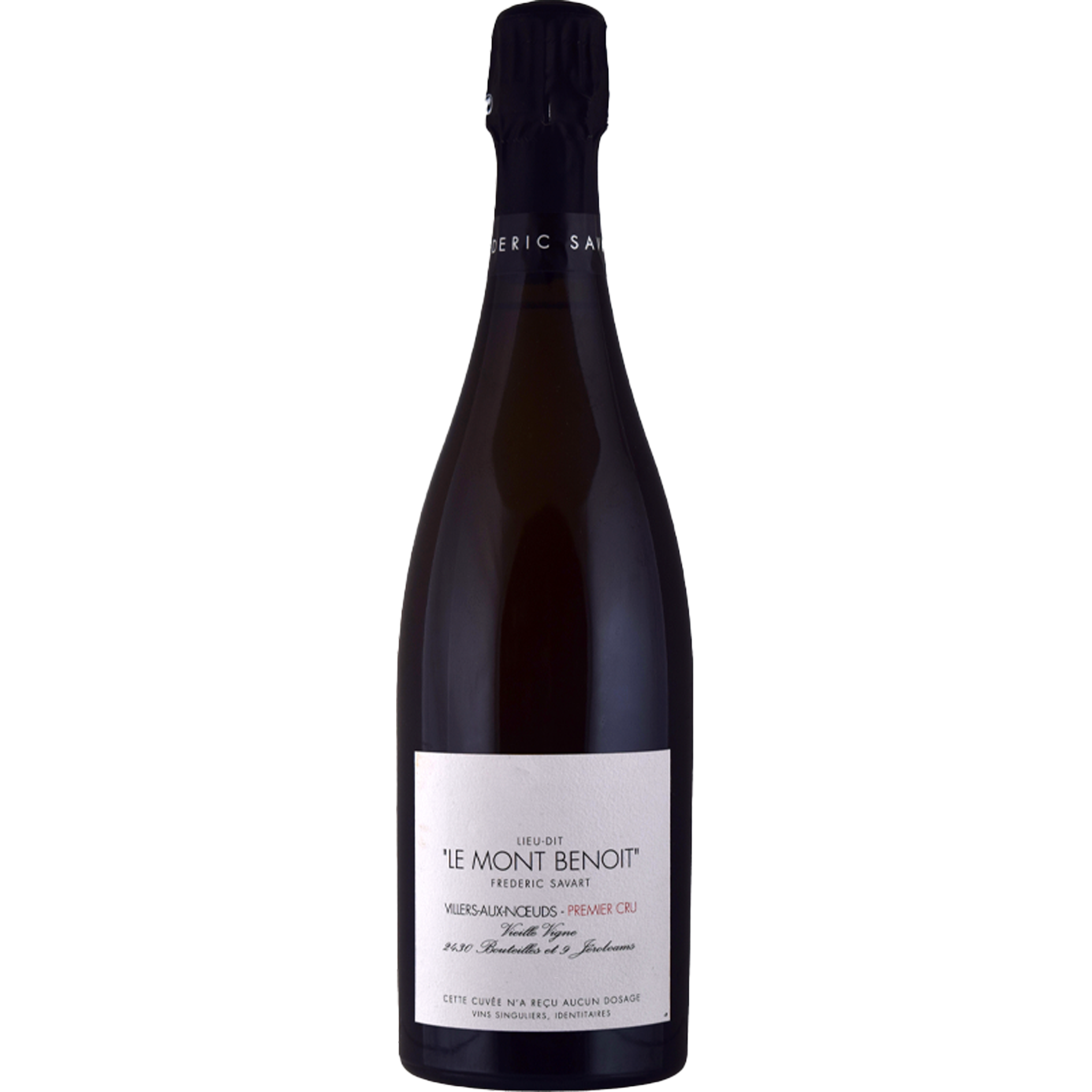 Frederic Savart Le Mont Benoit 2020 (Deg 2024)