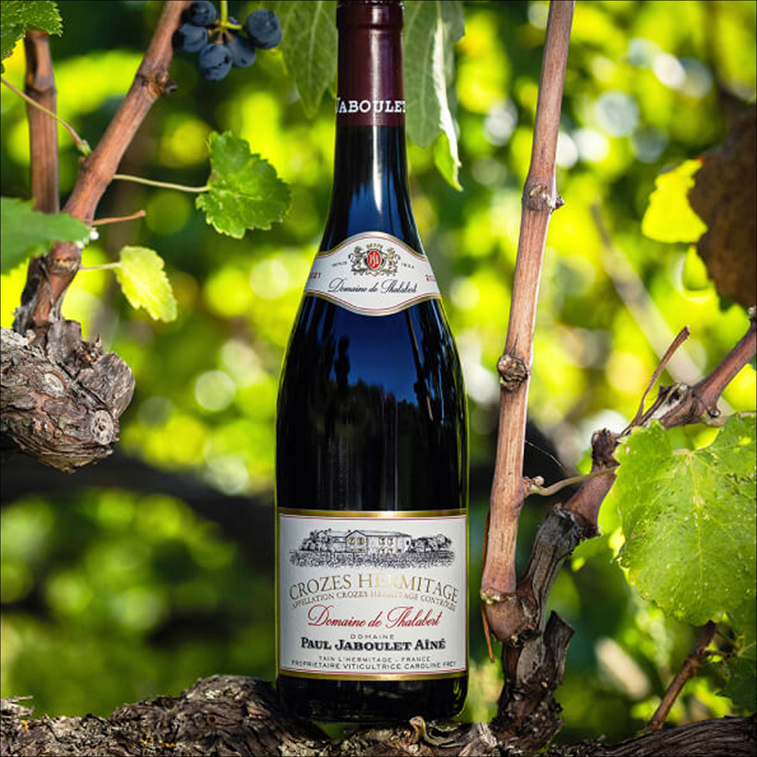 Domaines Paul Jaboulet Aîné