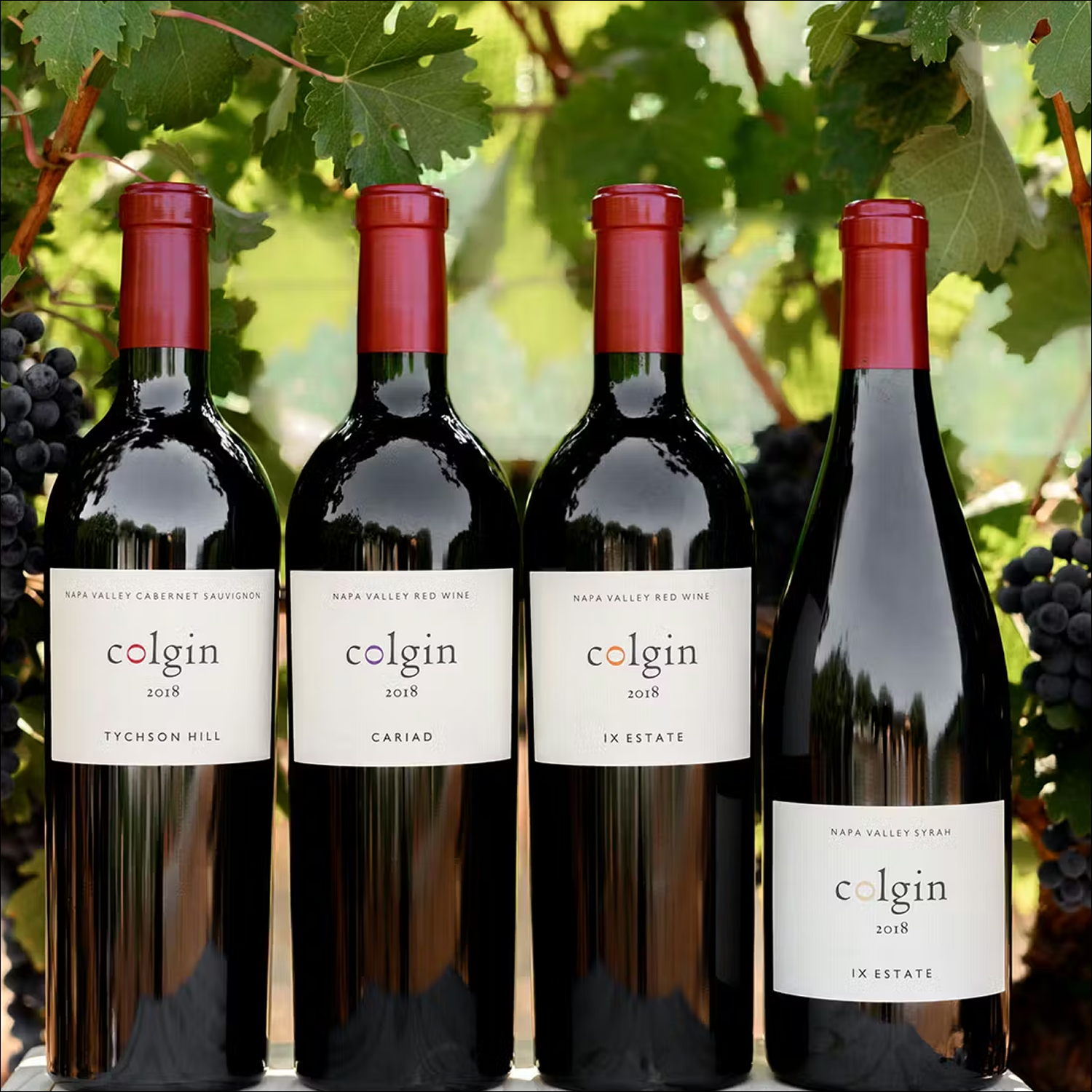 Colgin