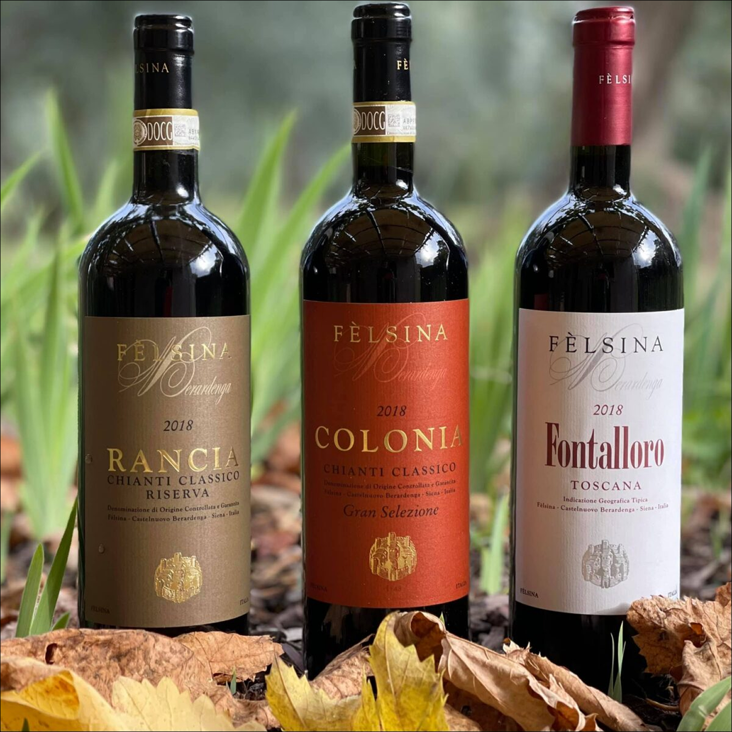 Felsina