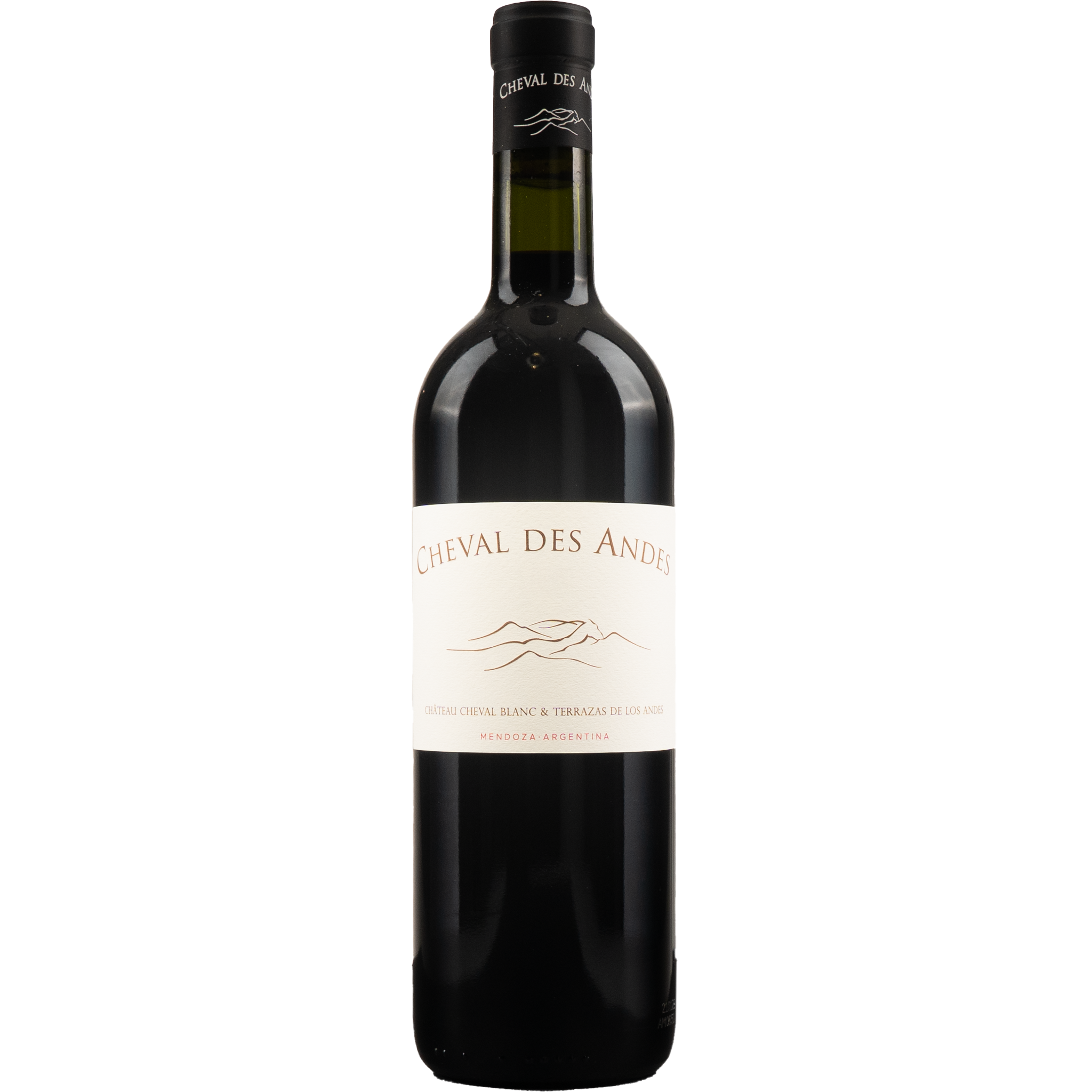 Cheval des Andes 2019 MG