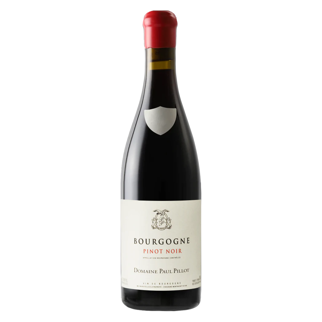 Bourgogne Rouge 2020, Domaine Paul Pillot | Peter Solberg A/S