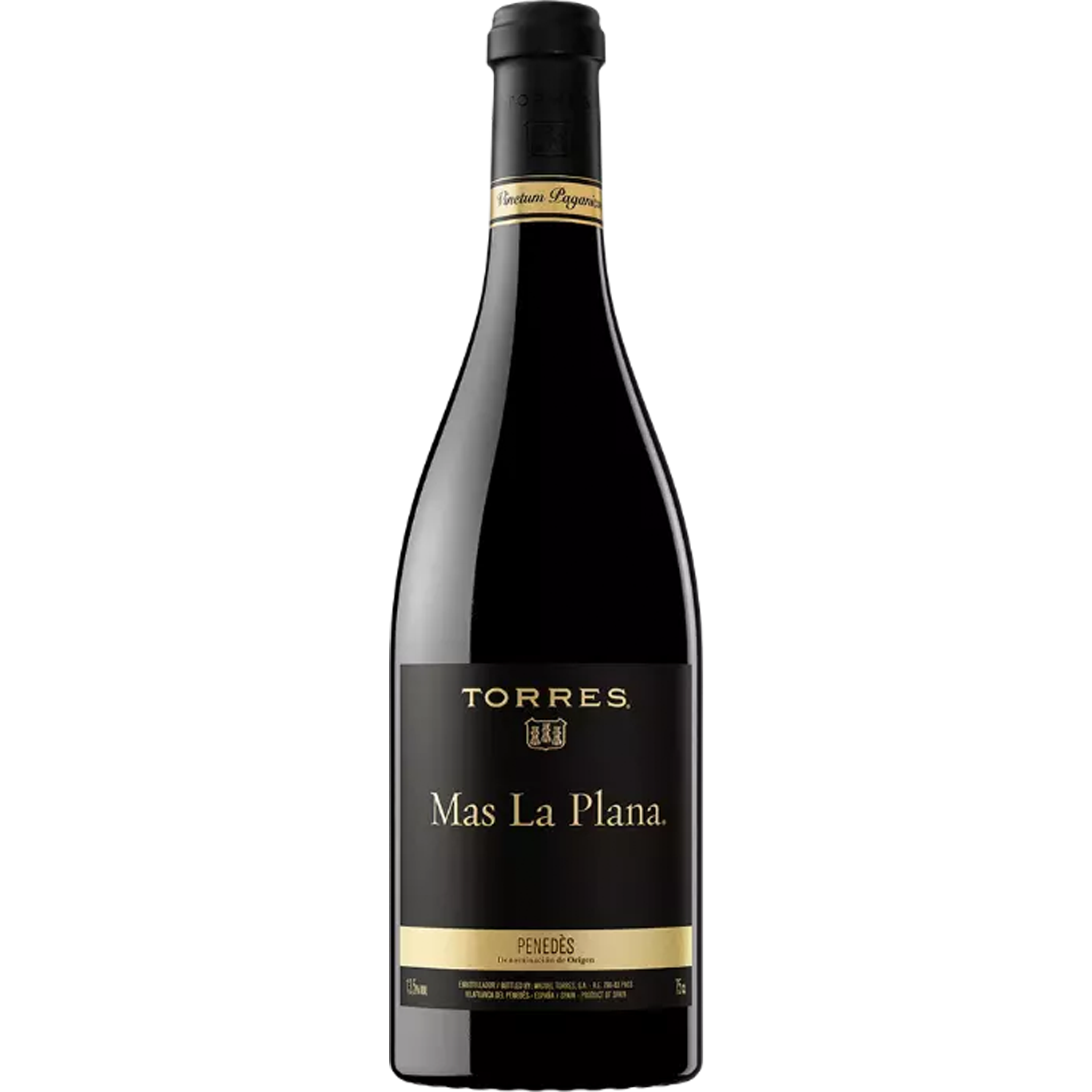 Torres Mas La Plana 2019