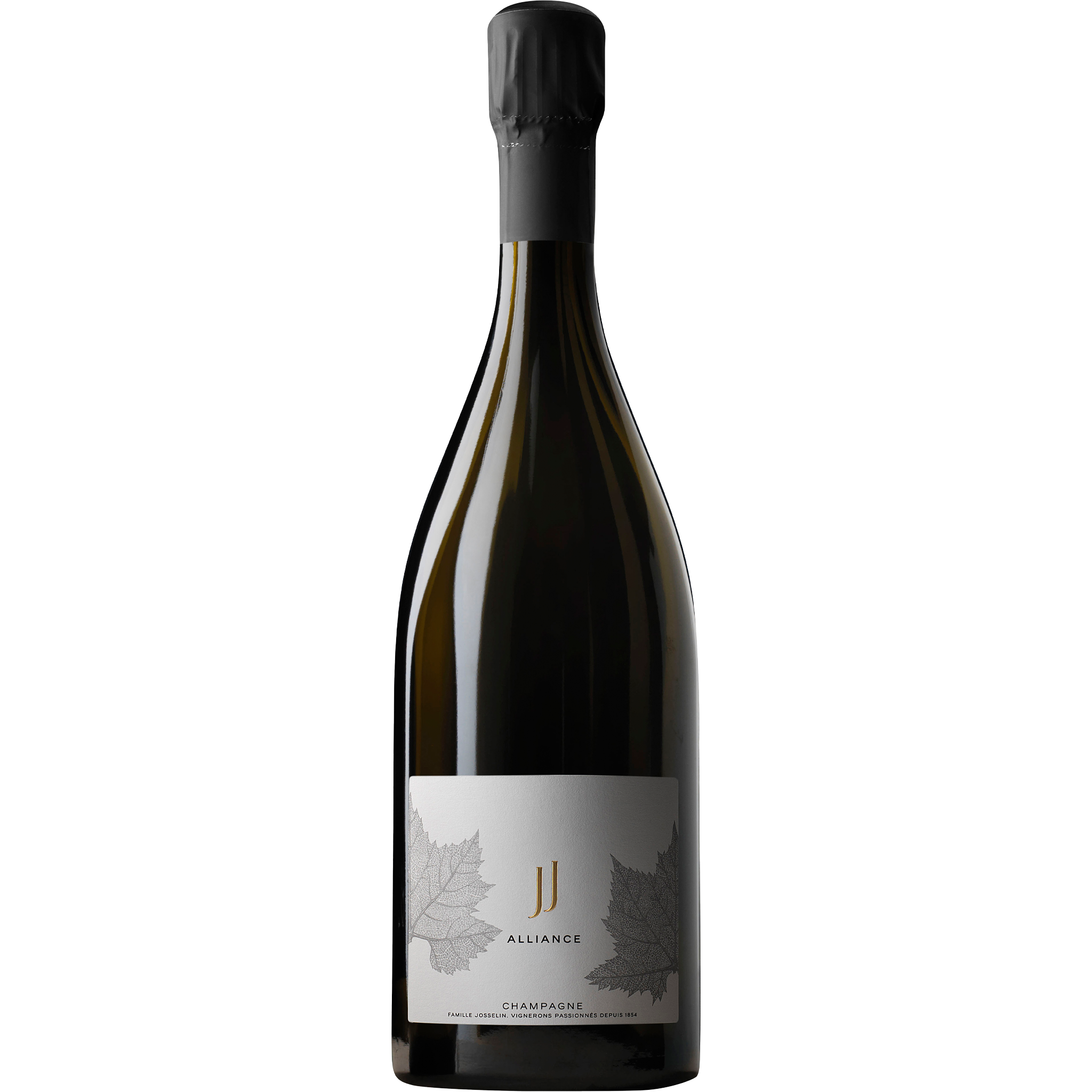 Jean Josselin Alliance R.22 NV
