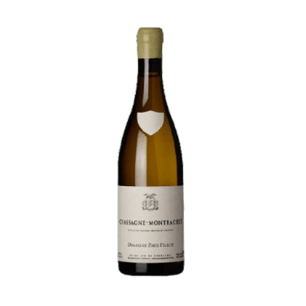 Chassagne Montrachet 2020 (75 CL)