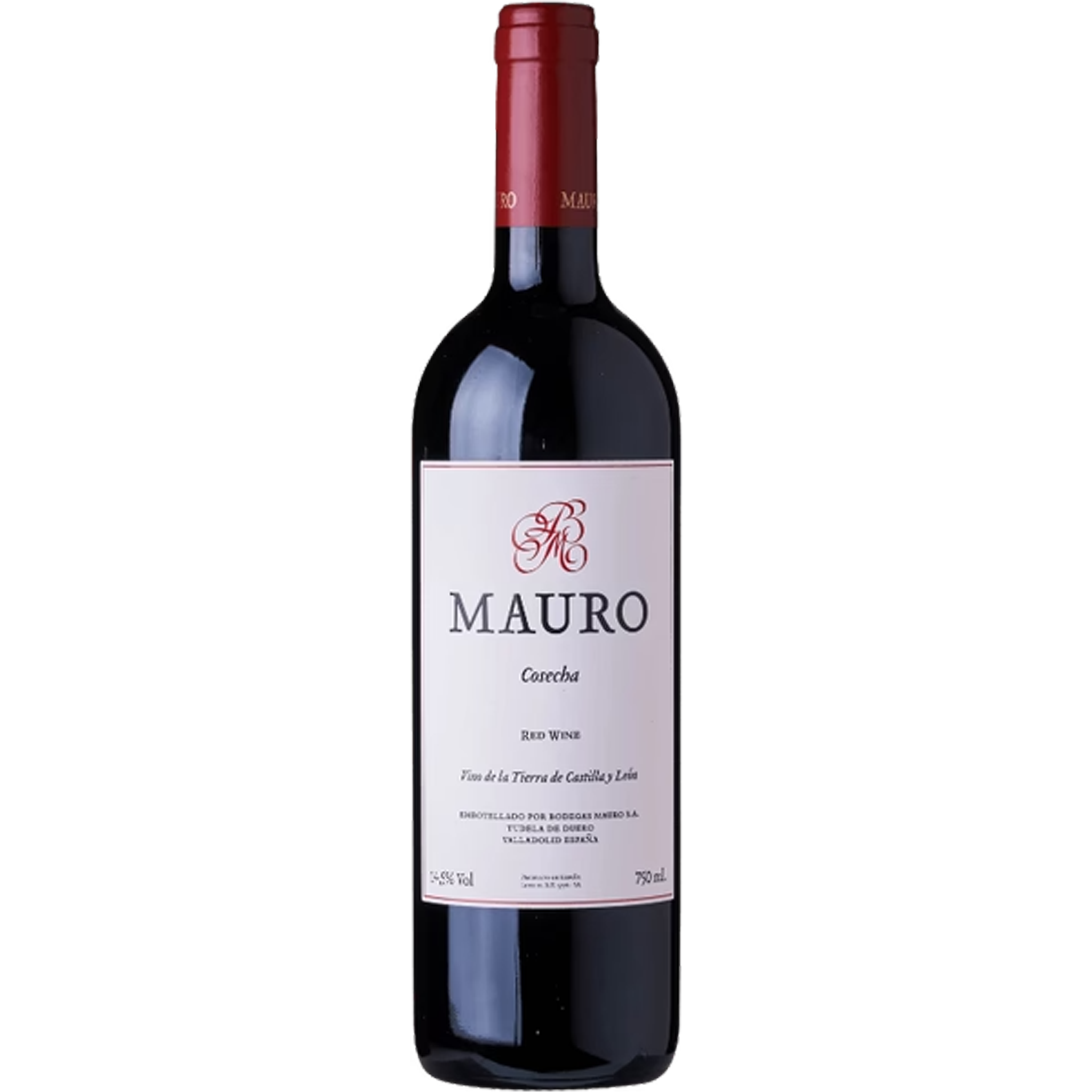 Mauro 2023