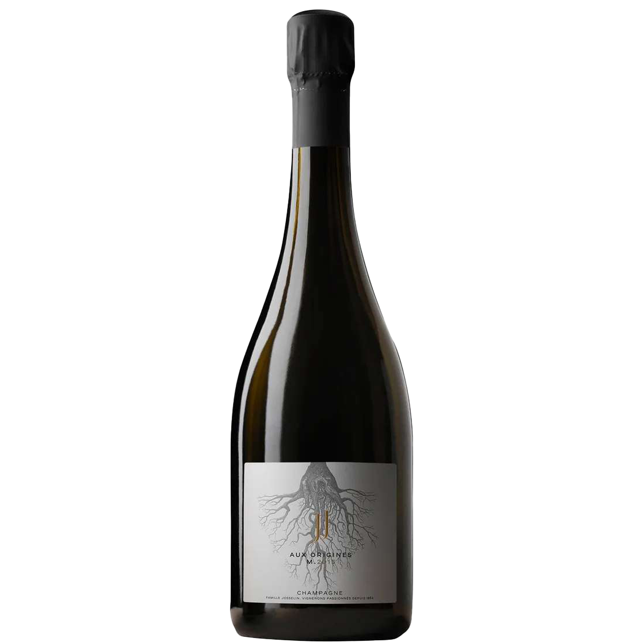 Jean Josselin Aux Origines