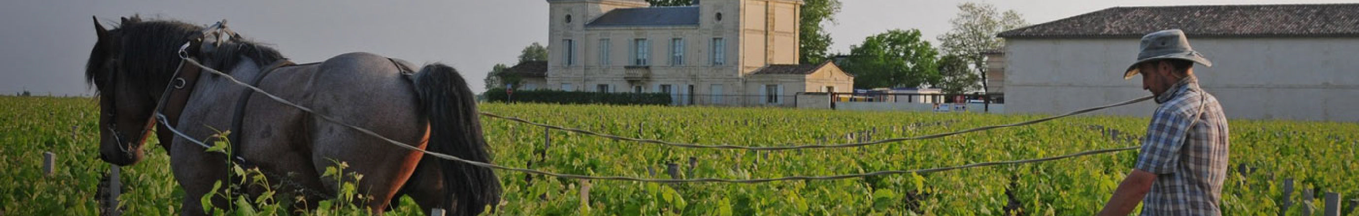Château Laroque